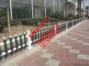 塑钢防护栏 塑钢栅栏 绿化带防护栅栏图片